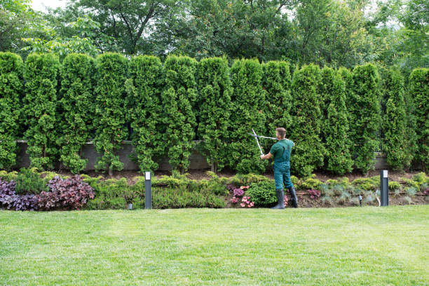 Best Tree Branch Trimming  in Bryant, WA